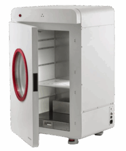 DEXA e1723064246374 250x300