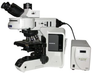 OLYMPUS BX53 FLUORESCENCE 2 1 300x240