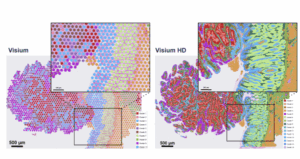visum vs visHD 300x159